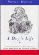 A Dog s Life For Sale