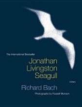 Jonathan Livingston Seagull Online Sale