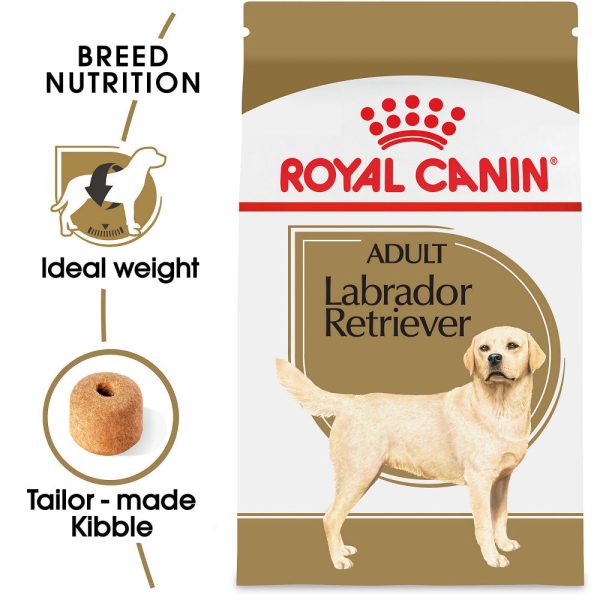 Royal Canin Breed Health Nutrition Labrador Retriever Adult Dry Dog Food Online now