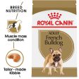 Royal Canin Breed Health Nutrition French Bulldog Adult Dry Dog Food Hot on Sale