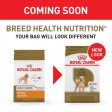 Royal Canin Breed Health Nutrition Poodle Adult Dry Dog Food For Discount