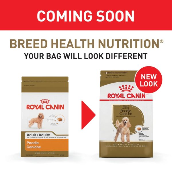 Royal Canin Breed Health Nutrition Poodle Adult Dry Dog Food For Discount