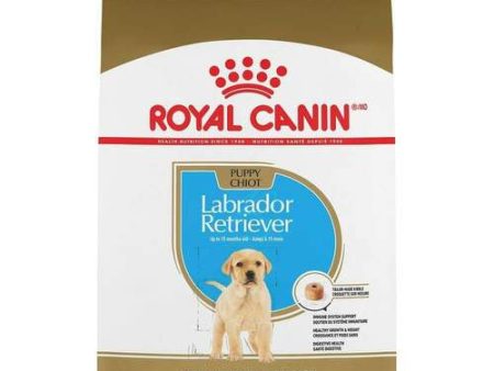 Royal Canin Breed Health Nutrition Labrador Retriever Puppy Dry Dog Food Online