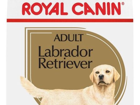 Royal Canin Breed Health Nutrition Labrador Retriever Adult Dry Dog Food Online now