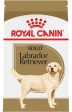 Royal Canin Breed Health Nutrition Labrador Retriever Adult Dry Dog Food Online now