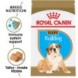 Royal Canin Breed Health Nutrition Bulldog Puppy Dry Dog Food For Sale