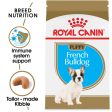 Royal Canin Breed Health Nutrition French Bulldog Puppy Recipe Dry Dog Food For Discount