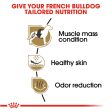 Royal Canin Breed Health Nutrition French Bulldog Adult Dry Dog Food Hot on Sale