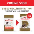 Royal Canin Breed Health Nutrition Miniature Schnauzer Adult Dry Dog Food Cheap