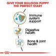 Royal Canin Breed Health Nutrition Bulldog Puppy Dry Dog Food For Sale