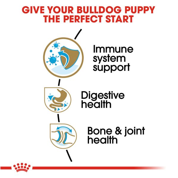 Royal Canin Breed Health Nutrition Bulldog Puppy Dry Dog Food For Sale